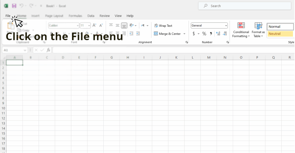 User guide for clicking the File menu in Excel when activating the Developer Tab